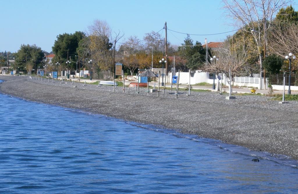 Artemis - Marina Apartments Evia Rom bilde