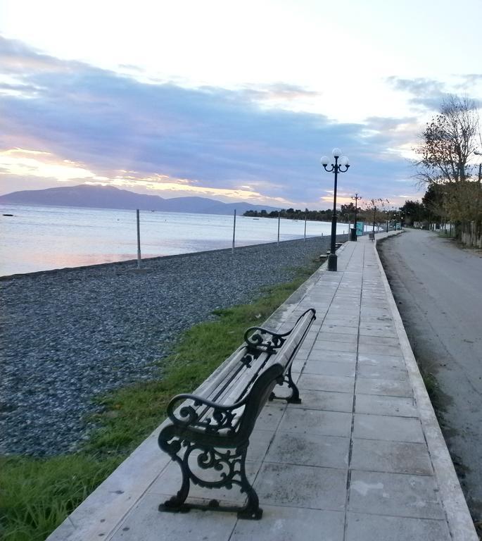 Artemis - Marina Apartments Evia Rom bilde