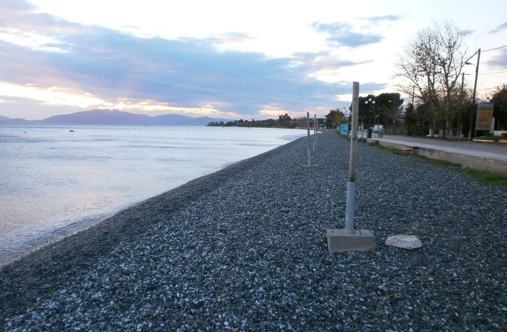 Artemis - Marina Apartments Evia Rom bilde