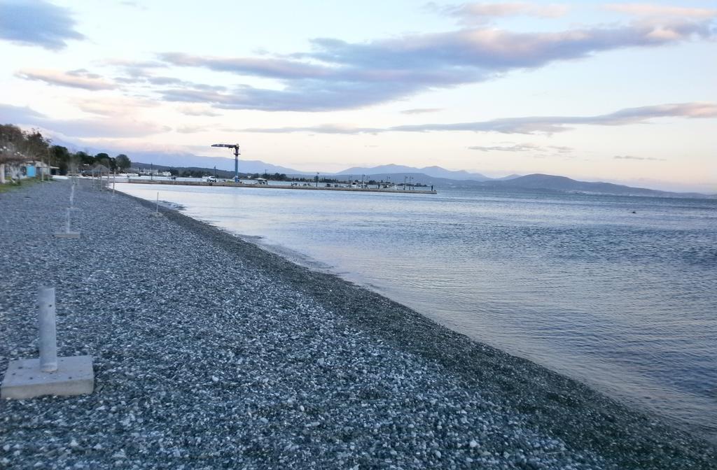 Artemis - Marina Apartments Evia Rom bilde