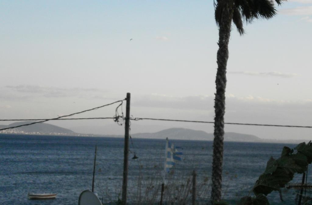 Artemis - Marina Apartments Evia Rom bilde