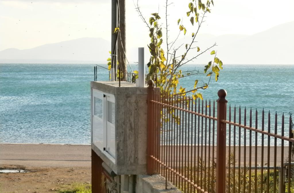 Artemis - Marina Apartments Evia Rom bilde